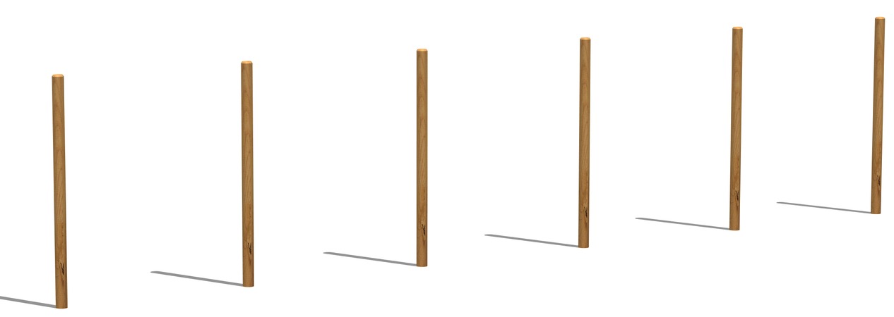 Agility SLALOM